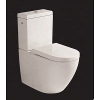 Round Five Star Hotel two-piece toilet commode price in toilets pan s trap